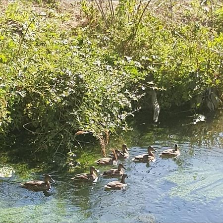 Les Gites De Ninon Moult Buitenkant foto