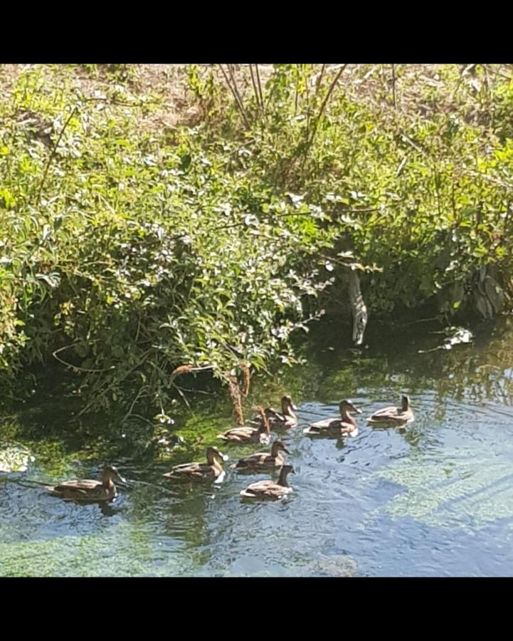 Les Gites De Ninon Moult Buitenkant foto
